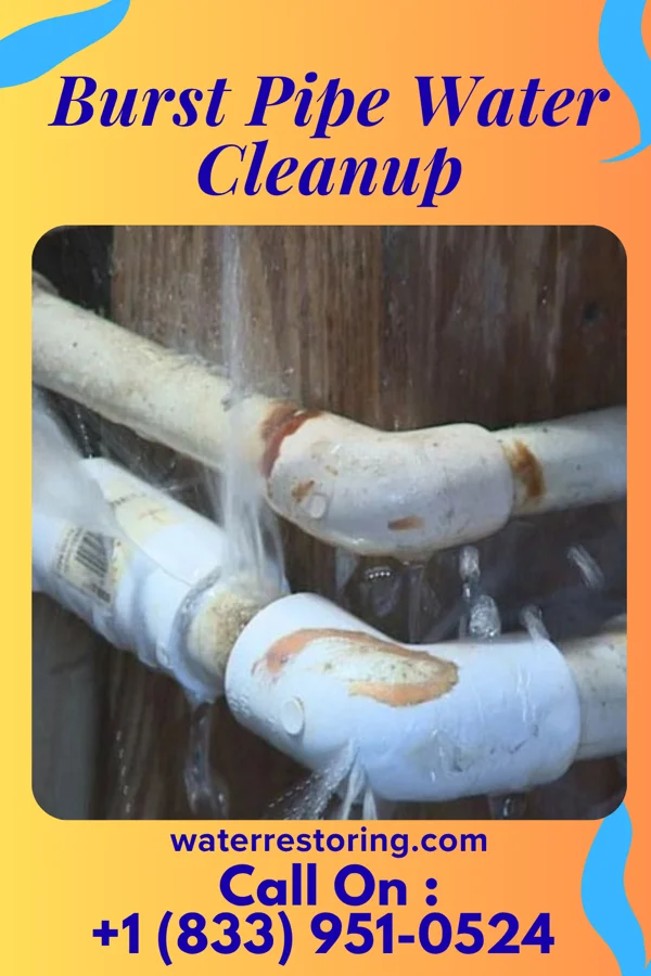 Burst Pipe Water Cleanup in Green Lane, PA
