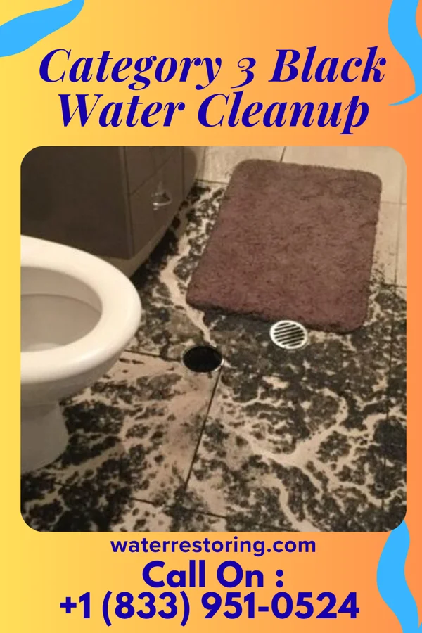 Category 3 Black Water Cleanup in Green Lane, PA