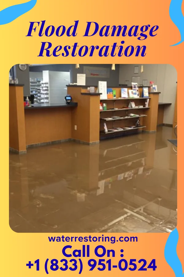 Flood Damage Restoration in Green Lane, PA
