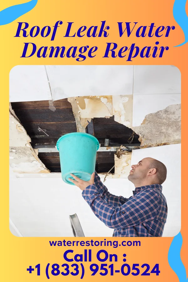 Roof Leak Water Damage Repair in Green Lane, PA