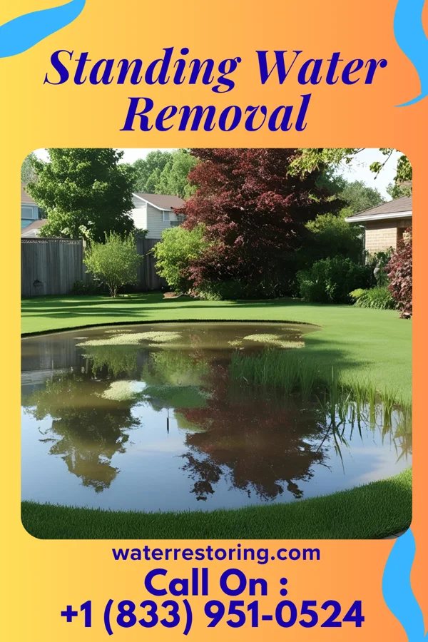 Standing Water Removal in Green Lane, PA